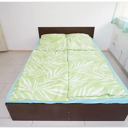 Zen House Hostal *
