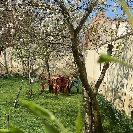 Zen House Hostal Timisoara